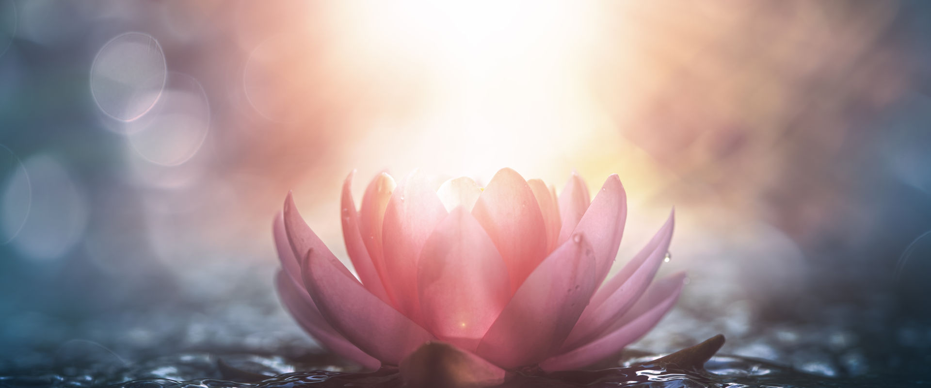Still water and lotus, the Soul Reflexions emblem